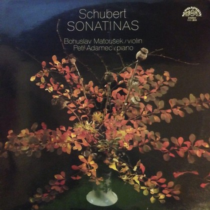 Franz Schubert - Sonatinas For Violin and Piano