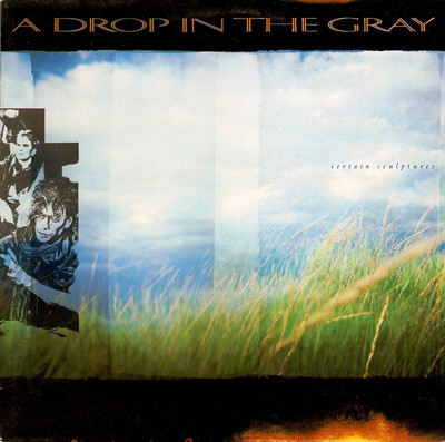 A Drop In The Gray - Certain ScuLP / Vinyltures - LP / Vinyl