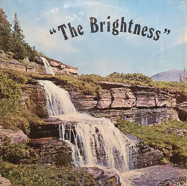 Various - The Brightness - LP / Vinyl