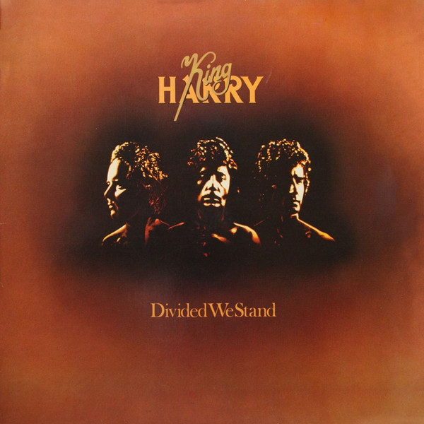 King Harry - Divided We Stand - LP / Vinyl