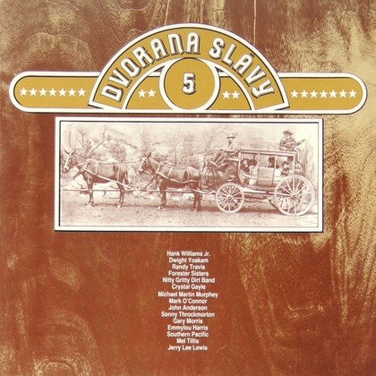 Various - Dvorana Slávy 5 - LP / Vinyl