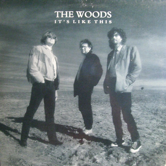 The Woods - It's Like This - LP / Vinyl