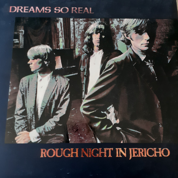 Dreams So Real - Rough Night In Jericho - LP / Vinyl