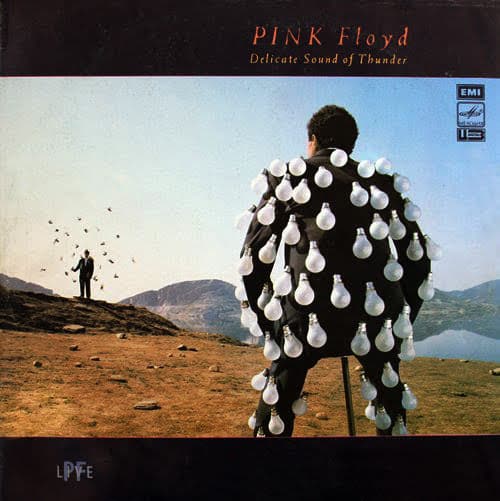 Pink Floyd - Delicate Sound Of Thunder - LP / Vinyl