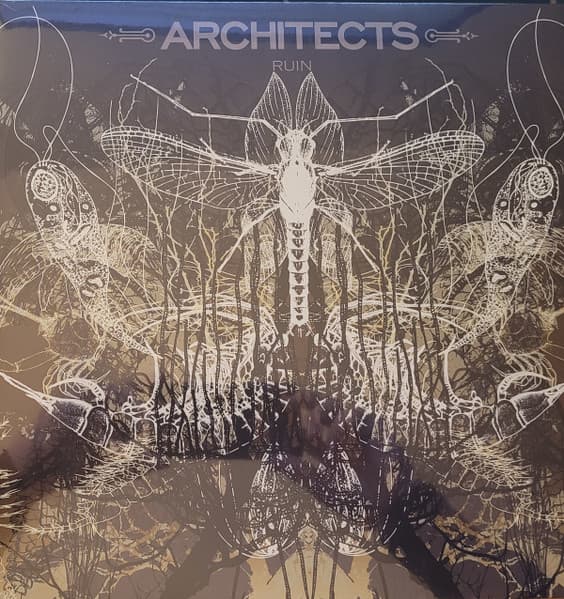 Architects - Ruin - LP / Vinyl