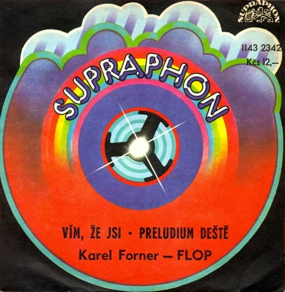 Karel Forner - Flop - Vím