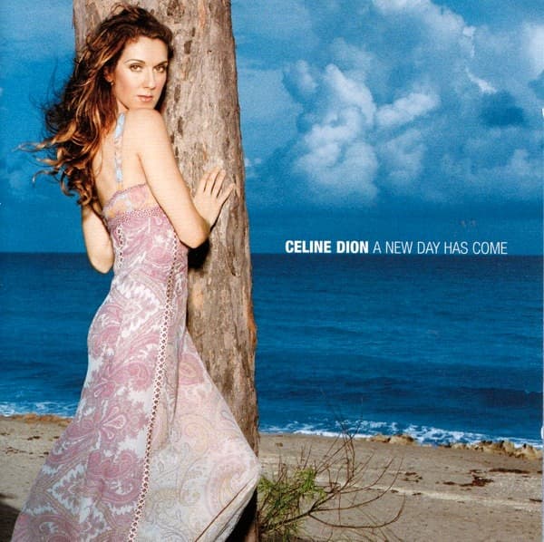 Céline Dion - A New Day Has Come - CD