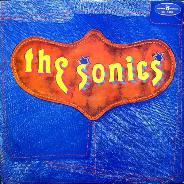 The Sonics - The Sonics - LP / Vinyl