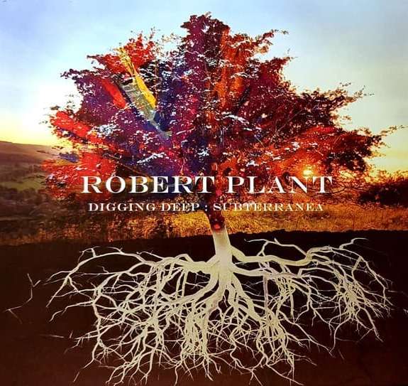 Robert Plant - Digging Deep: Subterranea - CD