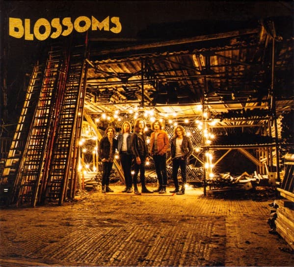 Blossoms - Blossoms - CD
