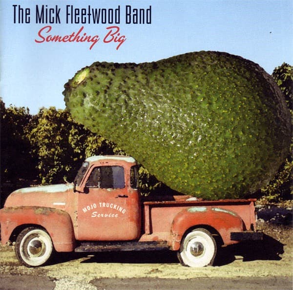 The Mick Fleetwood Band - Something Big - CD